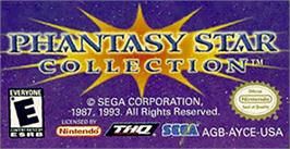 Top of cartridge artwork for Phantasy Star Collection on the Nintendo Game Boy Advance.