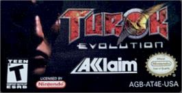 Top of cartridge artwork for Turok: Evolution on the Nintendo Game Boy Advance.
