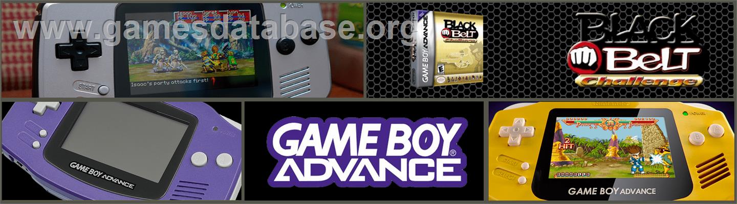 Black Belt Challenge - Nintendo Game Boy Advance - Artwork - Marquee
