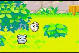 In game image of Hamtaro Rainbow Rescue on the Nintendo Game Boy Advance.