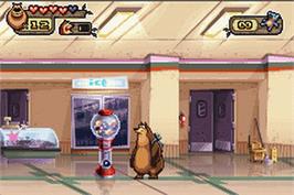 In game image of Open Season on the Nintendo Game Boy Advance.