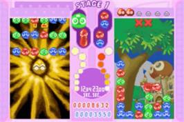 In game image of Puyo Pop Fever on the Nintendo Game Boy Advance.