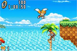 In game image of Sonic Advance on the Nintendo Game Boy Advance.