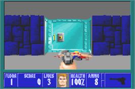In game image of Wolfenstein 3D on the Nintendo Game Boy Advance.