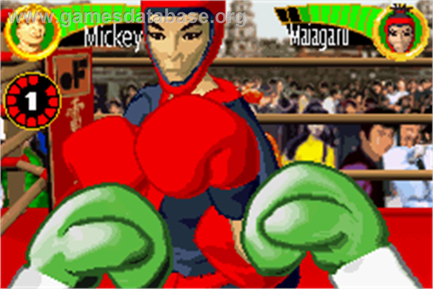Boxing Fever - Nintendo Game Boy Advance - Artwork - In Game