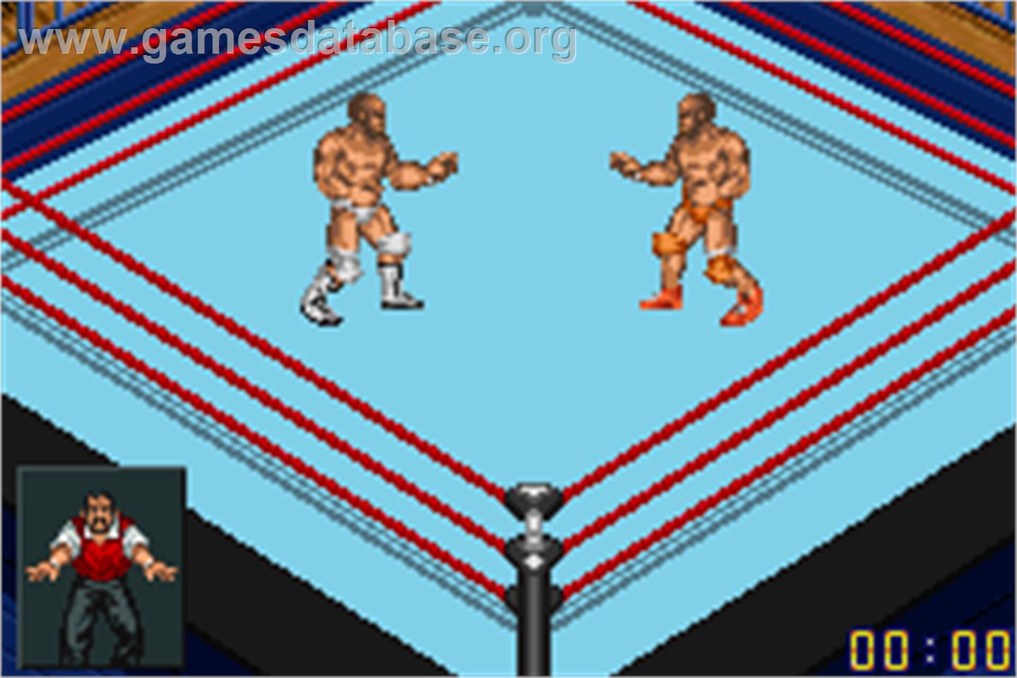 Fire Pro Wrestling 2 - Nintendo Game Boy Advance - Artwork - In Game