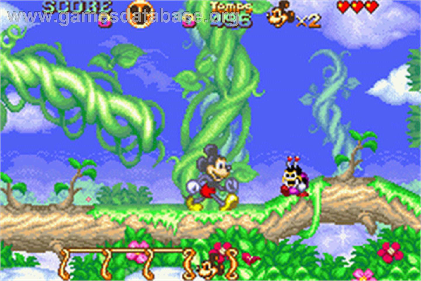 Magical Quest Starring Mickey & Minnie - Nintendo Game Boy Advance - Artwork - In Game