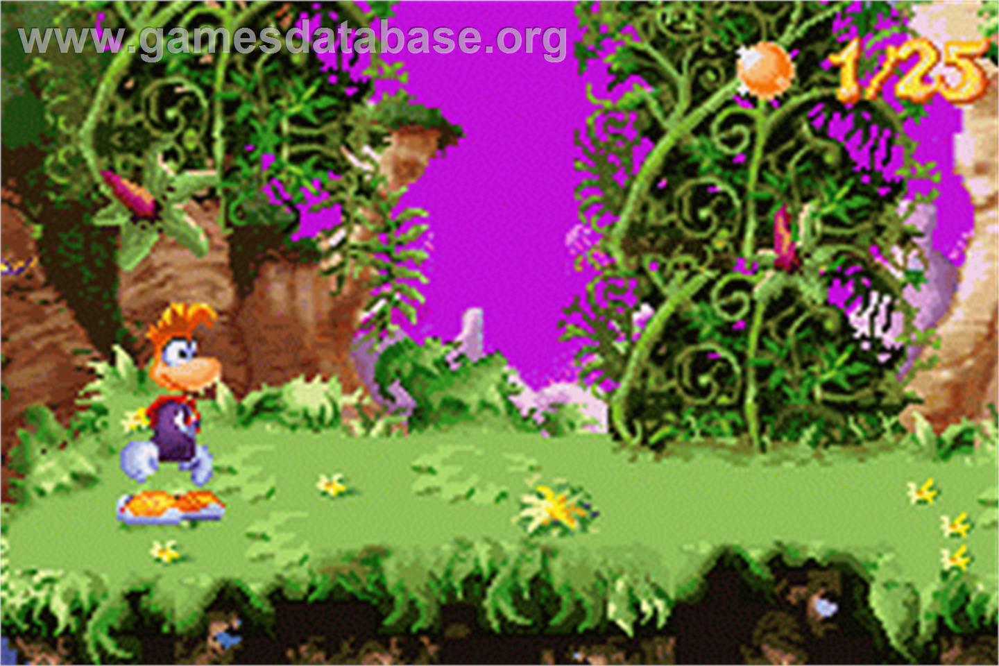Rayman 3: Hoodlum Havoc - Nintendo Game Boy Advance - Artwork - In Game