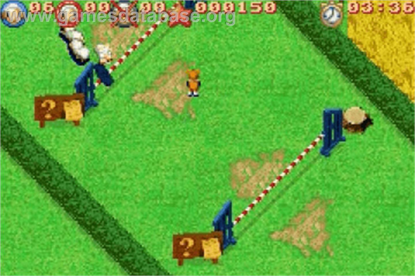 Sheep - Nintendo Game Boy Advance - Artwork - In Game