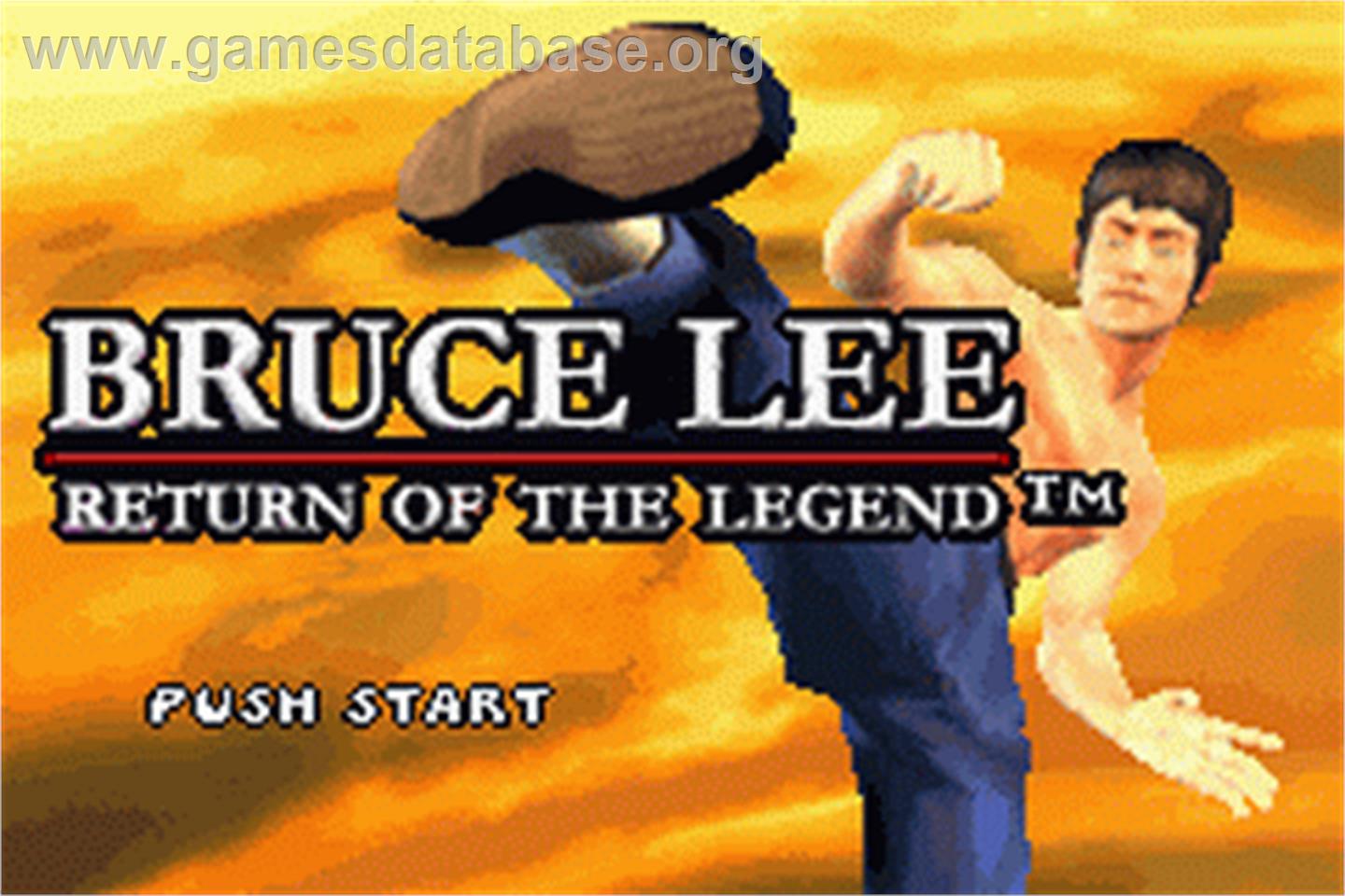 Bruce Lee: Return of the Legend - Nintendo Game Boy Advance - Artwork - Title Screen