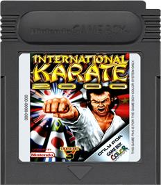 Cartridge artwork for International Karate 2000 on the Nintendo Game Boy Color.