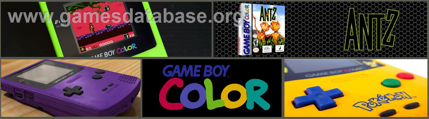 Antz - Nintendo Game Boy Color - Artwork - Marquee