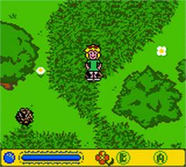 In game image of Bibi Blocksberg: Im Bann der Hexenkugel on the Nintendo Game Boy Color.