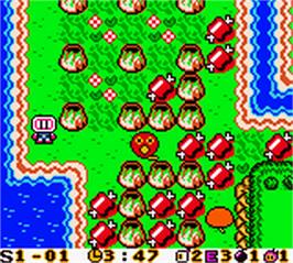 In game image of Bomberman Max: Blue Champion Edition on the Nintendo Game Boy Color.