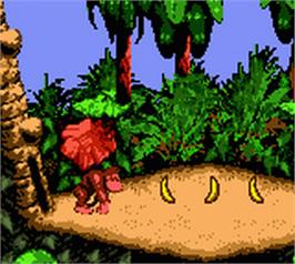 In game image of Donkey Kong Country on the Nintendo Game Boy Color.