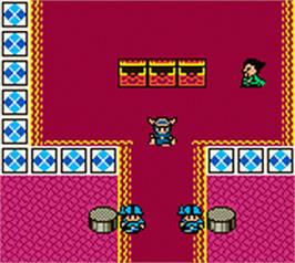 In game image of Dragon Warrior 1 & 2 on the Nintendo Game Boy Color.
