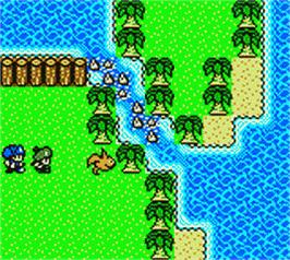 In game image of Dragon Warrior Monsters 2: Tara's Adventure on the Nintendo Game Boy Color.