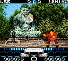 In game image of International Karate 2000 on the Nintendo Game Boy Color.