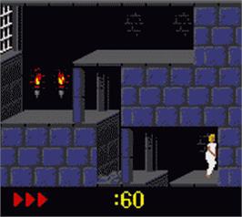 In game image of Prince of Persia on the Nintendo Game Boy Color.