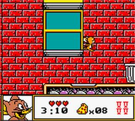 In game image of Tom & Jerry on the Nintendo Game Boy Color.