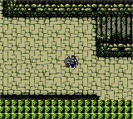 In game image of Warriors of Might and Magic on the Nintendo Game Boy Color.
