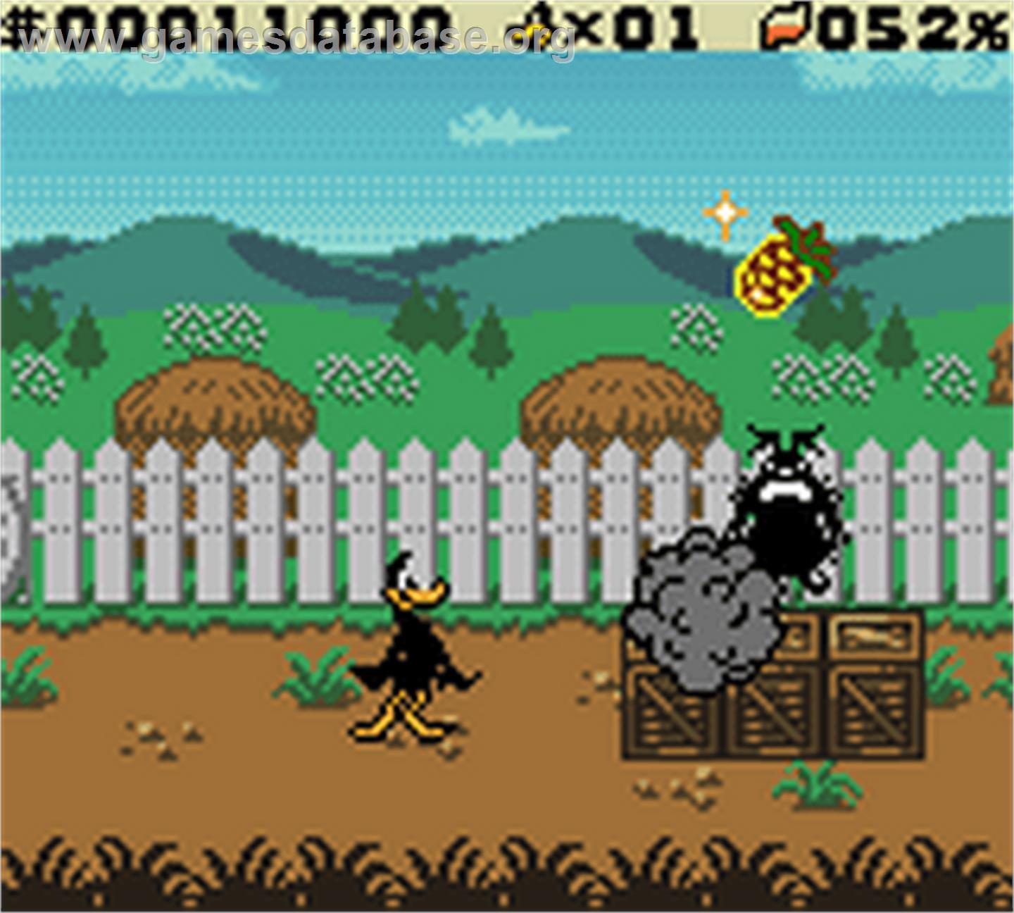 Daffy Duck: Fowl Play - Nintendo Game Boy Color - Artwork - In Game