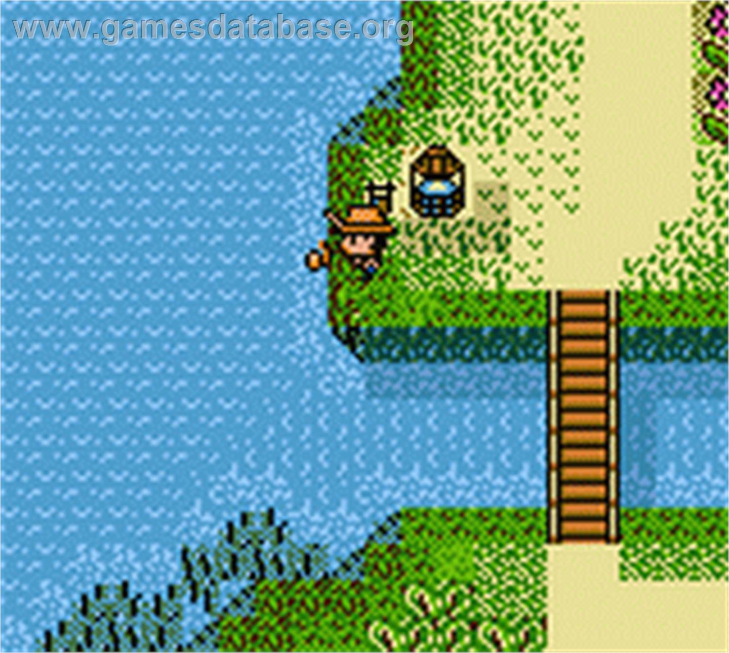 Legend of the River King 2 - Nintendo Game Boy Color - Artwork - In Game