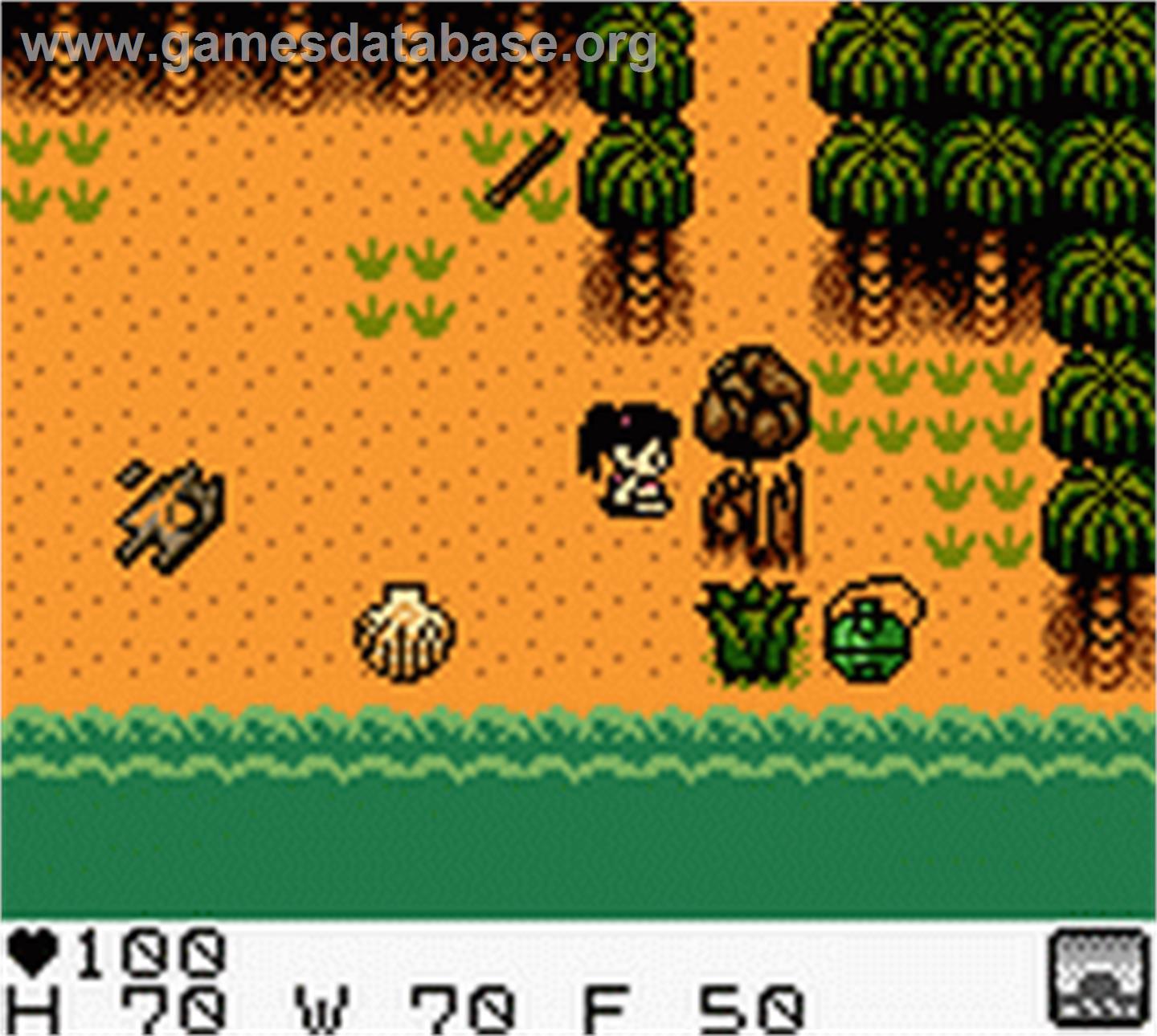 Survival Kids - Nintendo Game Boy Color - Artwork - In Game