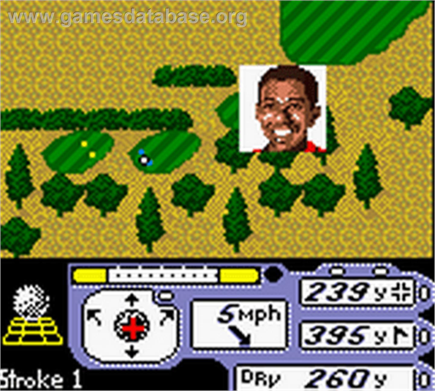 Tiger Woods PGA Tour 2000 - Nintendo Game Boy Color - Artwork - In Game