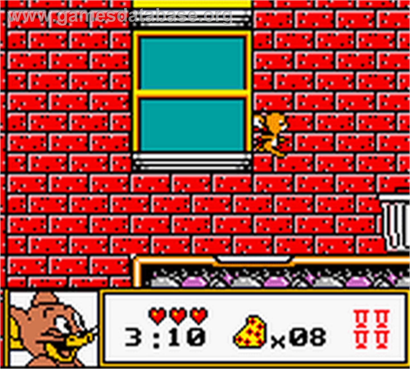Tom & Jerry: Mousehunt - Nintendo Game Boy Color - Artwork - In Game