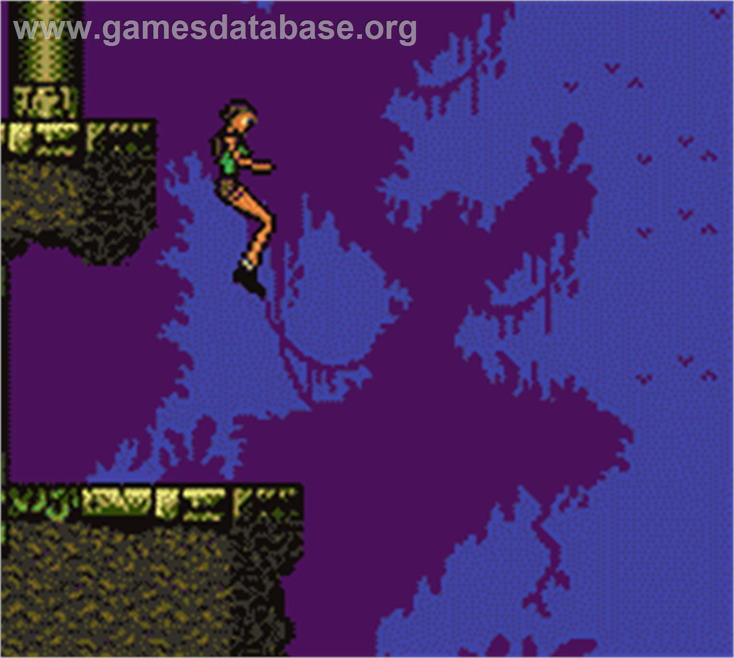 Tomb Raider - Nintendo Game Boy Color - Artwork - In Game