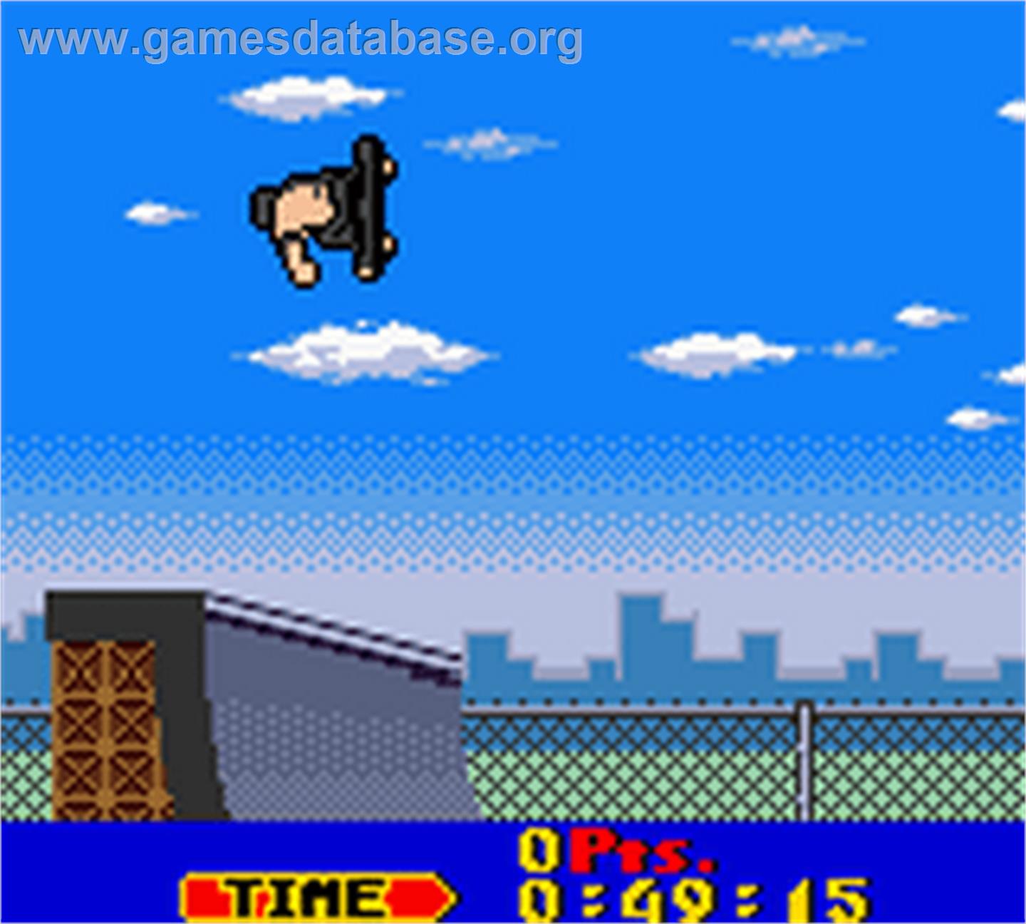 Tony Hawk's Pro Skater - Nintendo Game Boy Color - Artwork - In Game
