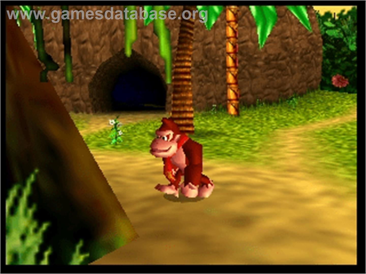 Donkey Kong 64 - Nintendo N64 - Artwork - In Game