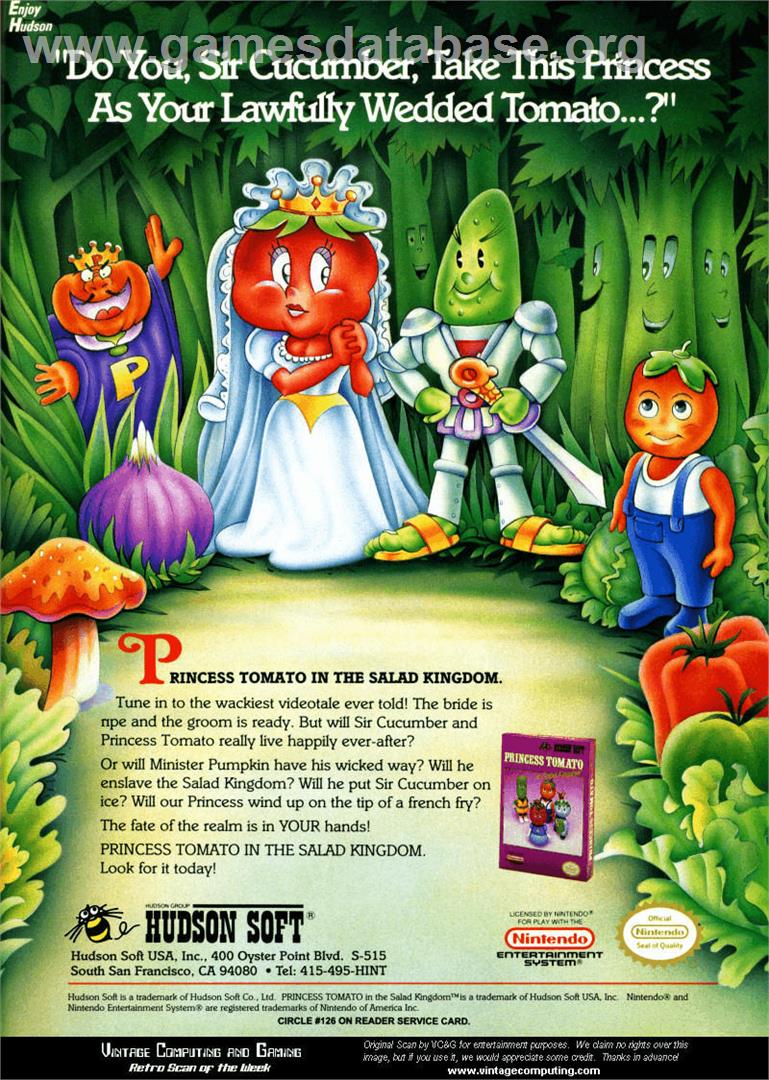 Princess Tomato in the Salad Kingdom - Nintendo NES - Artwork - Advert
