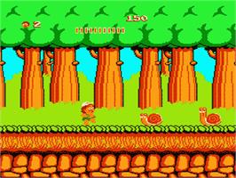 In game image of Adventure Island on the Nintendo NES.