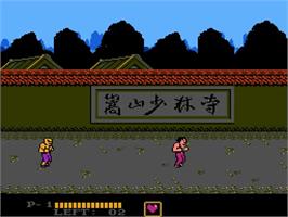 In game image of Challenge of the Dragon on the Nintendo NES.
