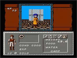 In game image of Dungeon Magic: Sword of the Elements on the Nintendo NES.