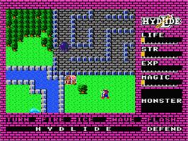 In game image of Hydlide on the Nintendo NES.