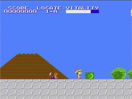 In game image of Mystery Quest on the Nintendo NES.