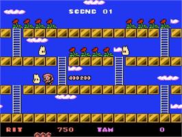 In game image of Rodland on the Nintendo NES.