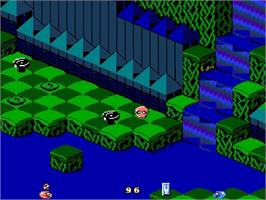 In game image of Snake Rattle 'n Roll on the Nintendo NES.