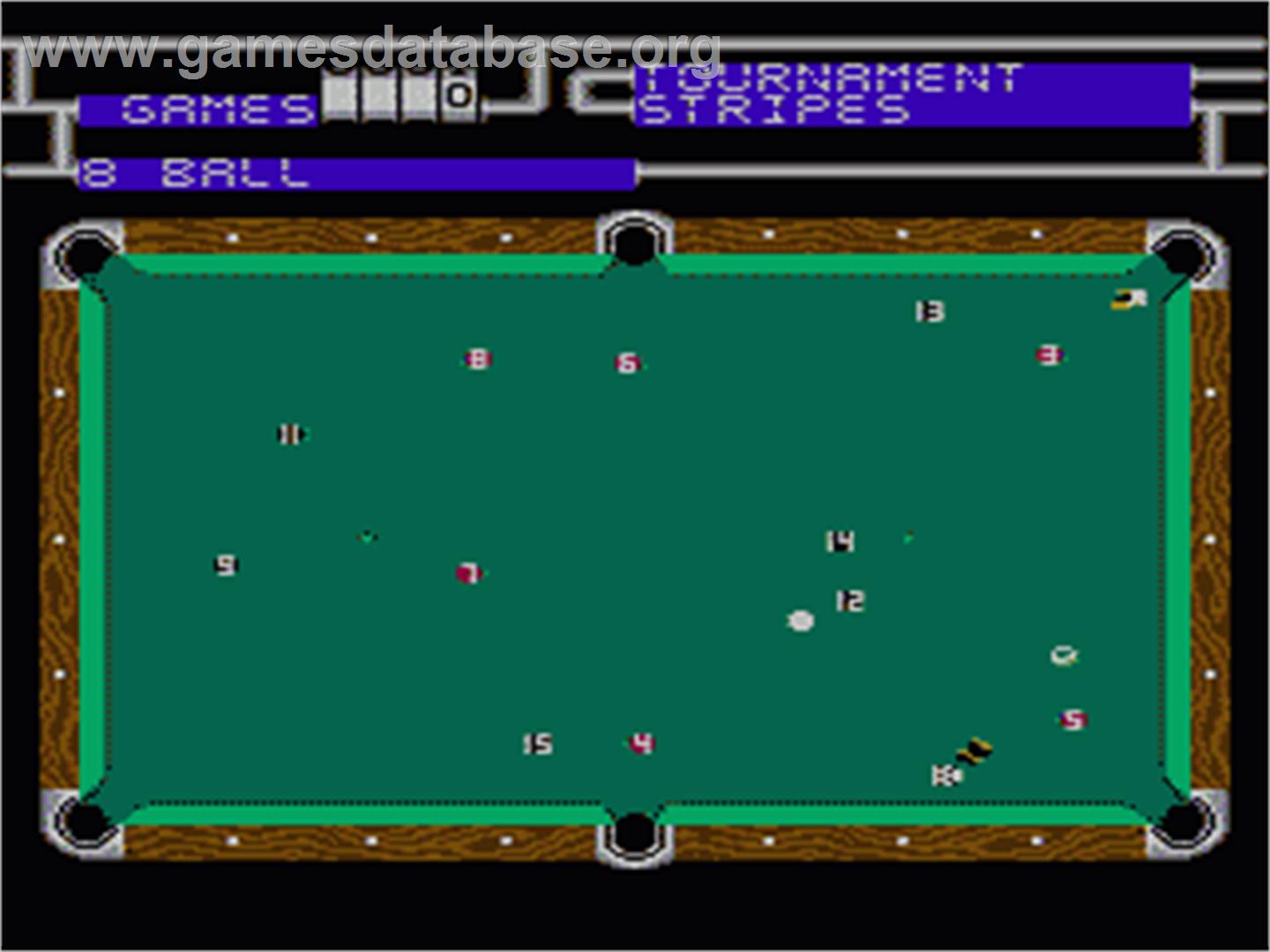 Championship Pool - Nintendo NES - Artwork - In Game