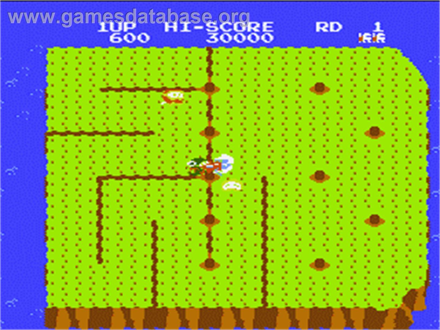 Dig Dug II - Nintendo NES - Artwork - In Game