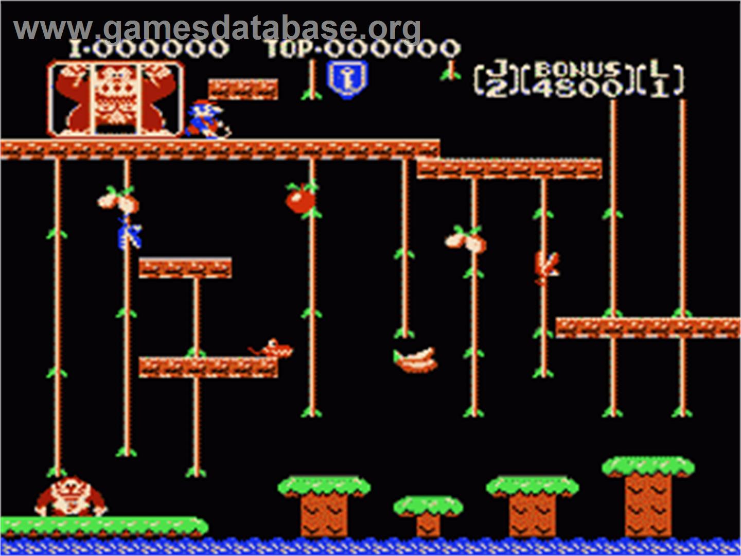 Donkey Kong Junior - Nintendo NES - Artwork - In Game