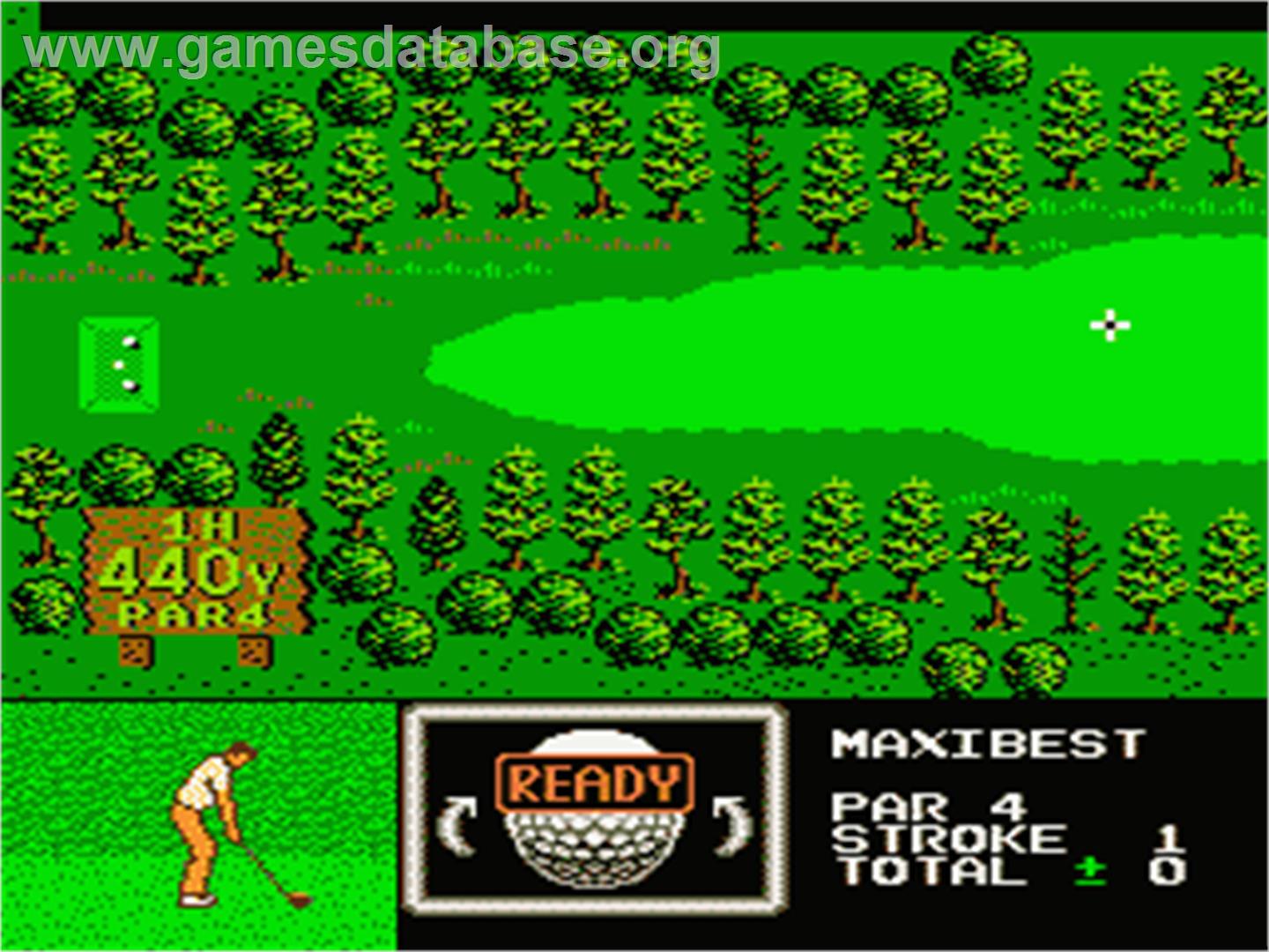 Golf Grand Slam - Nintendo NES - Artwork - In Game