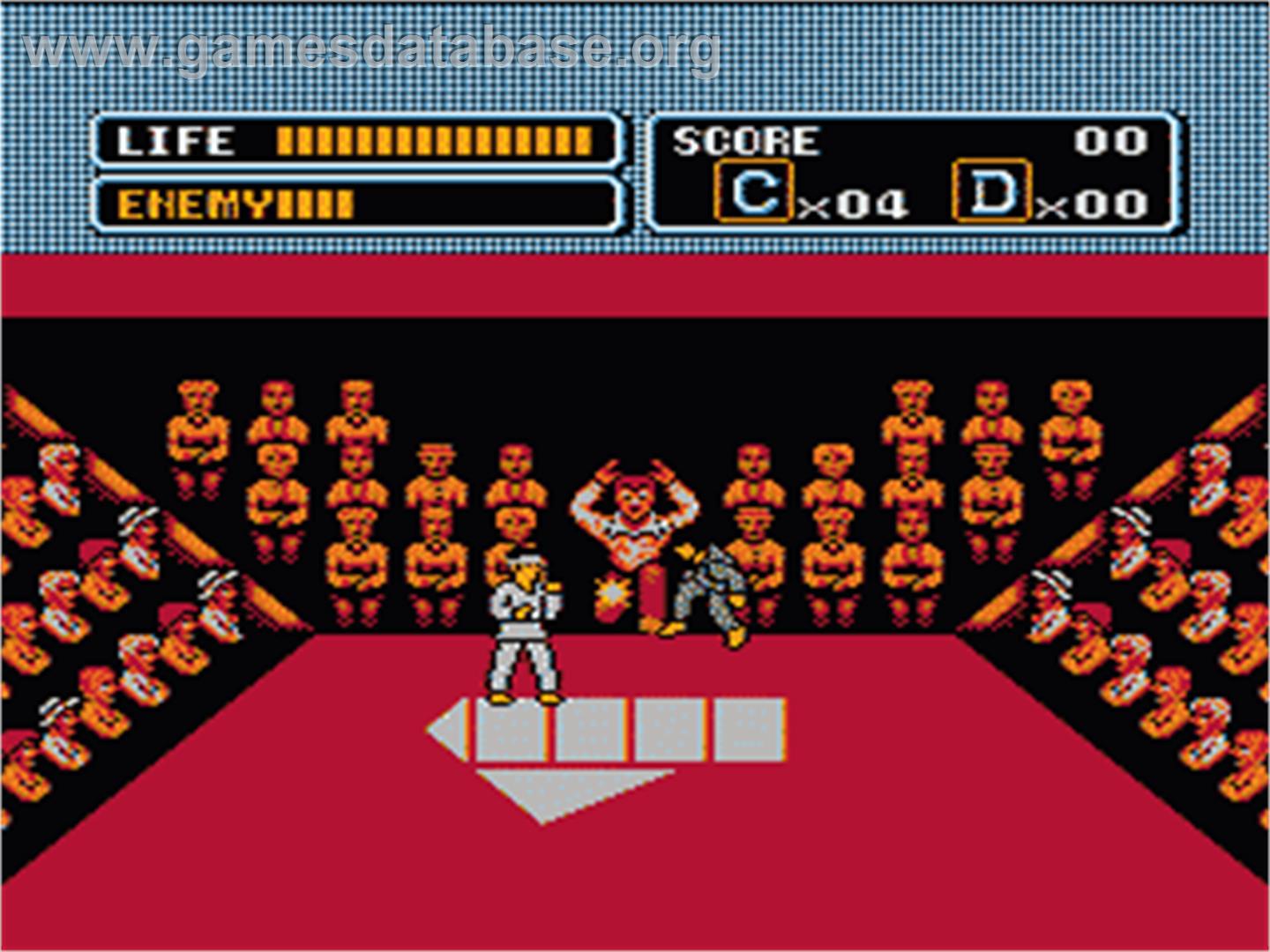 Karate Kid - Nintendo NES - Artwork - In Game
