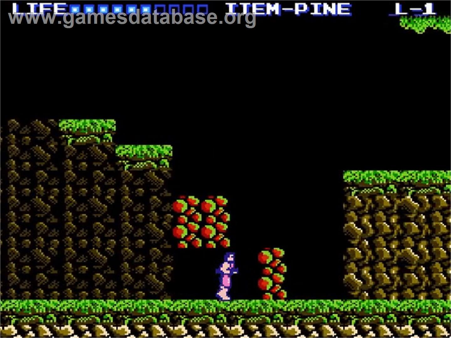 Predator - Nintendo NES - Artwork - In Game