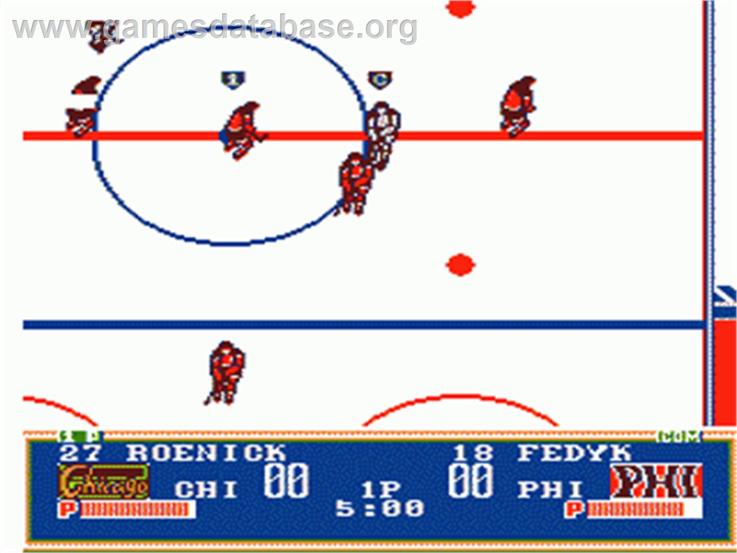 Pro Sport Hockey - Nintendo NES - Artwork - In Game