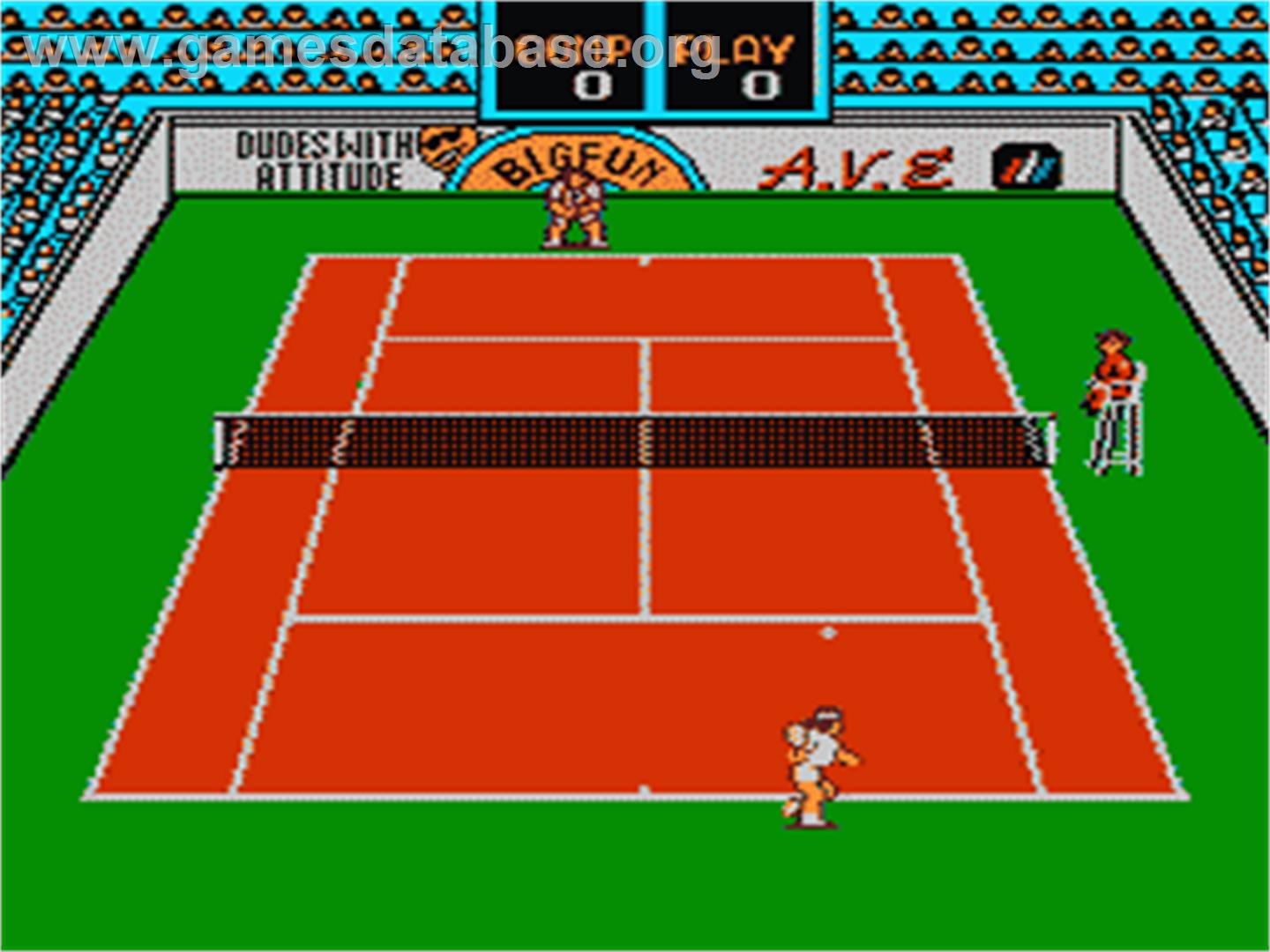 Rad Racket: Deluxe Tennis 2 - Nintendo NES - Artwork - In Game