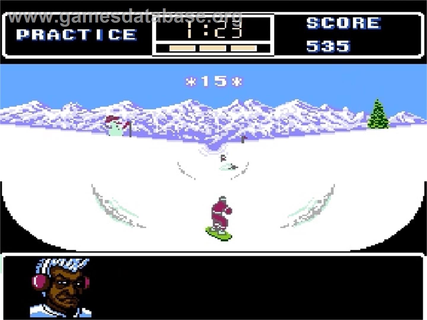 Ski or Die - Nintendo NES - Artwork - In Game